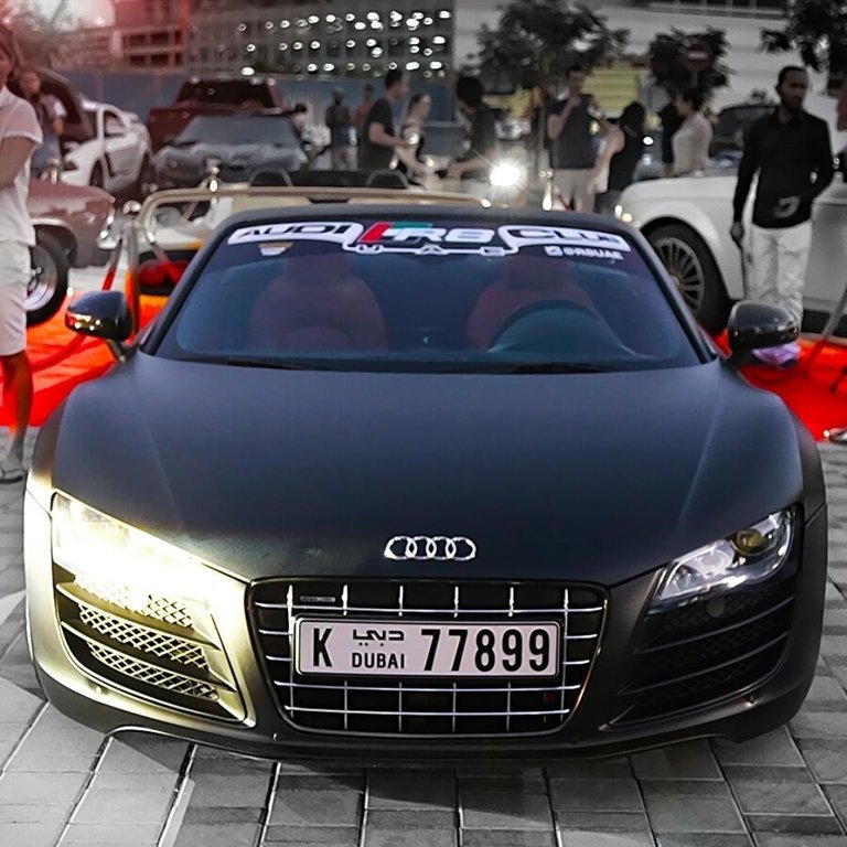 5009421861AUDIR8V10.jpg