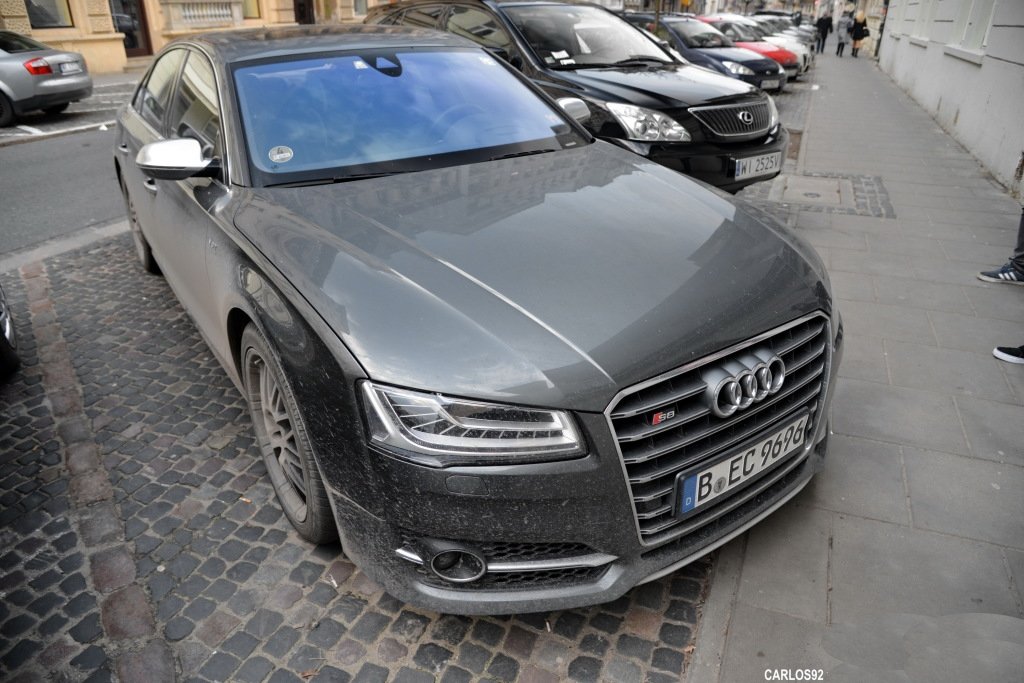 501152S8D41392.jpg