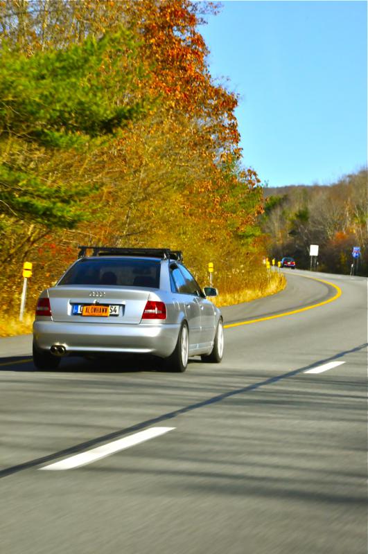501220DSC0199jpg.jpg
