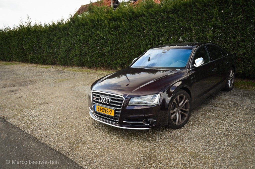 502600S8D4875.jpg