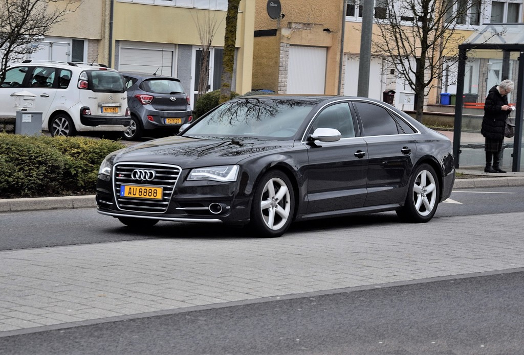 502867S8D41946.jpg
