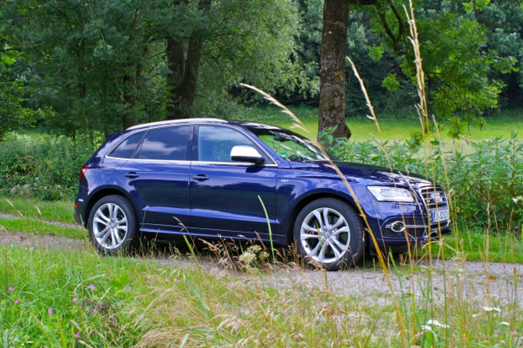 507072AUDISQ5065.jpg