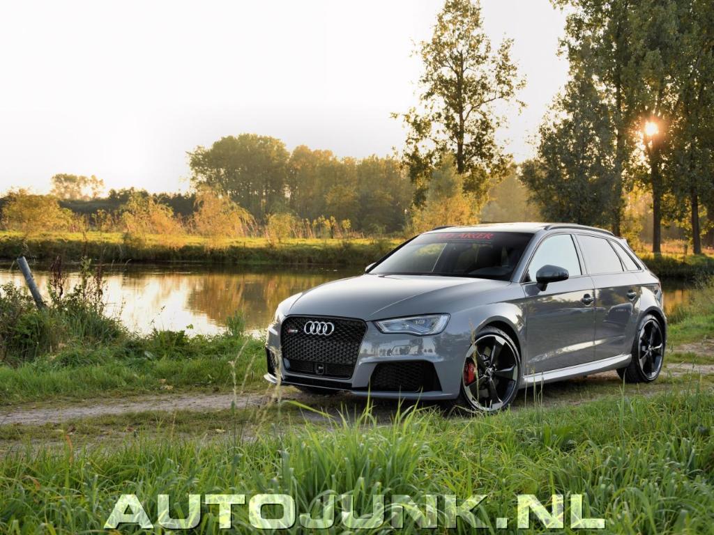 509472RS38V0666.jpg