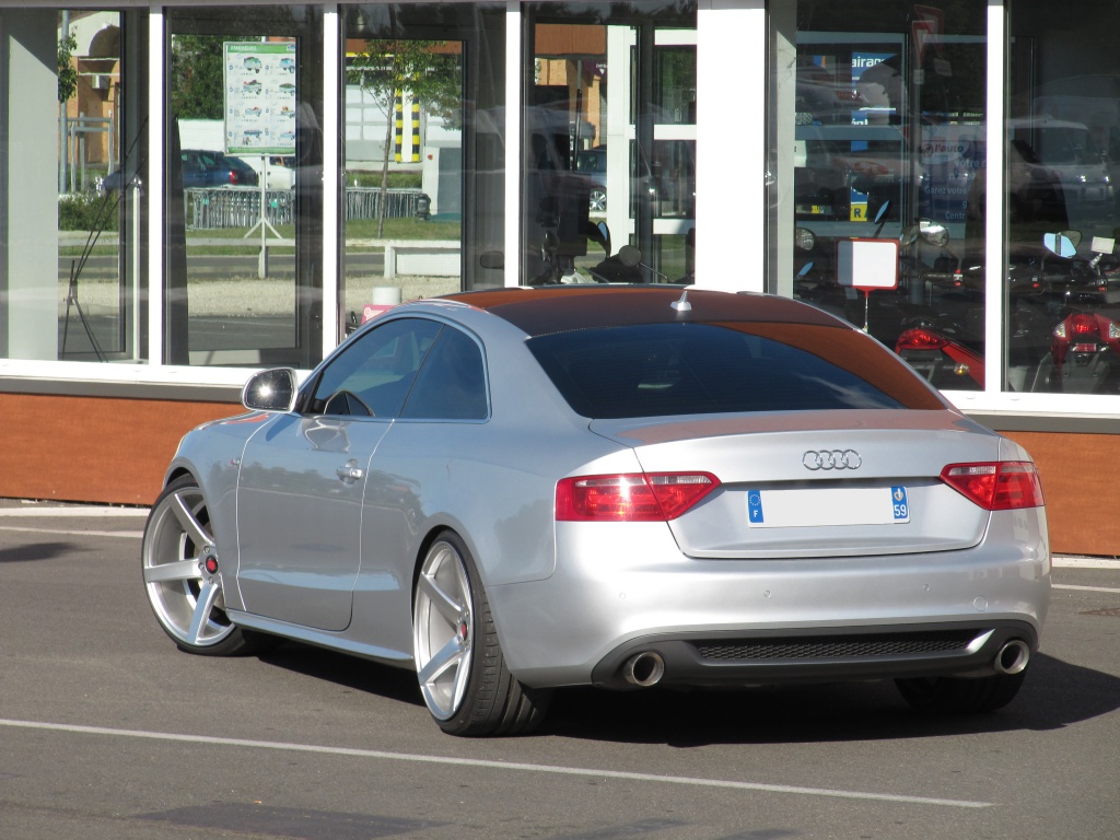 510696IMG4466.jpg