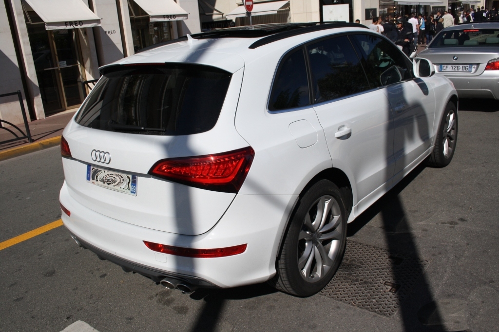 512323AUDISQ5605.jpg