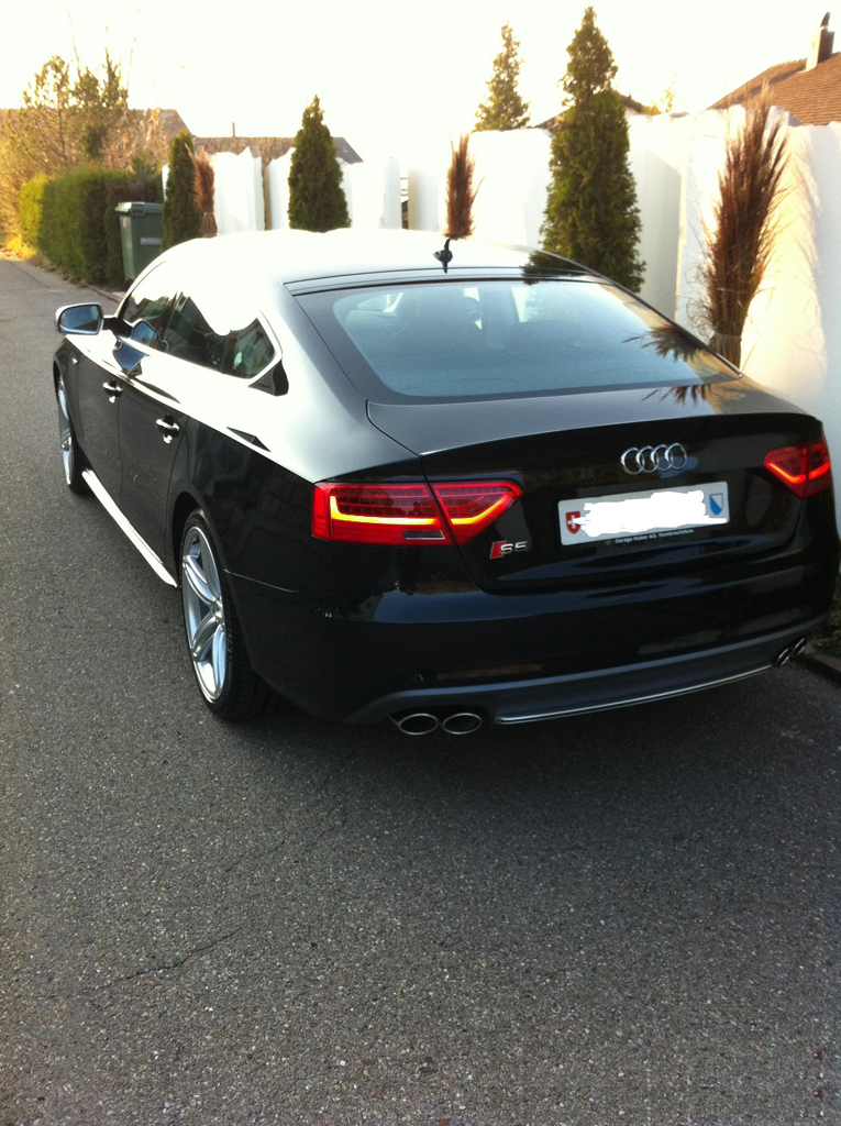 512341332S5ESQUIROU.jpg