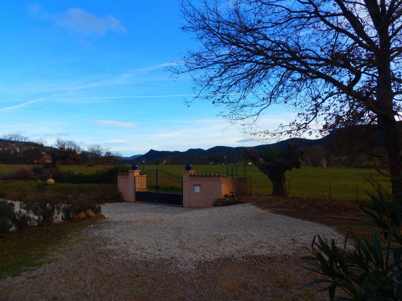 513167P1010196.jpg