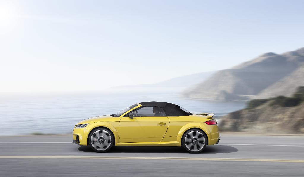 513195AUDITTRS8S0267.jpg
