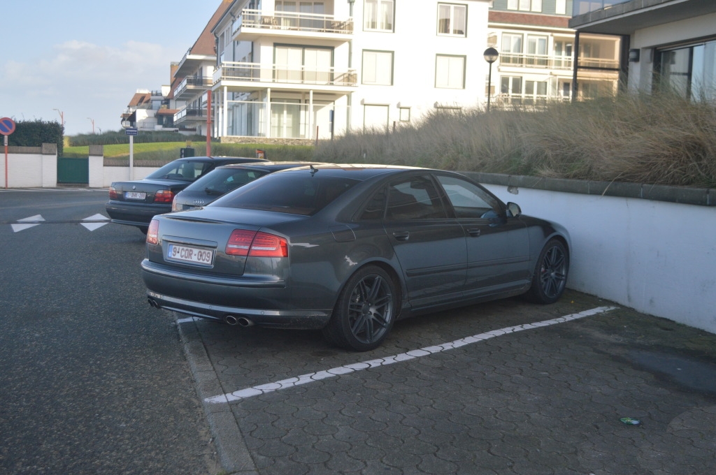 514442796S8D3.jpg