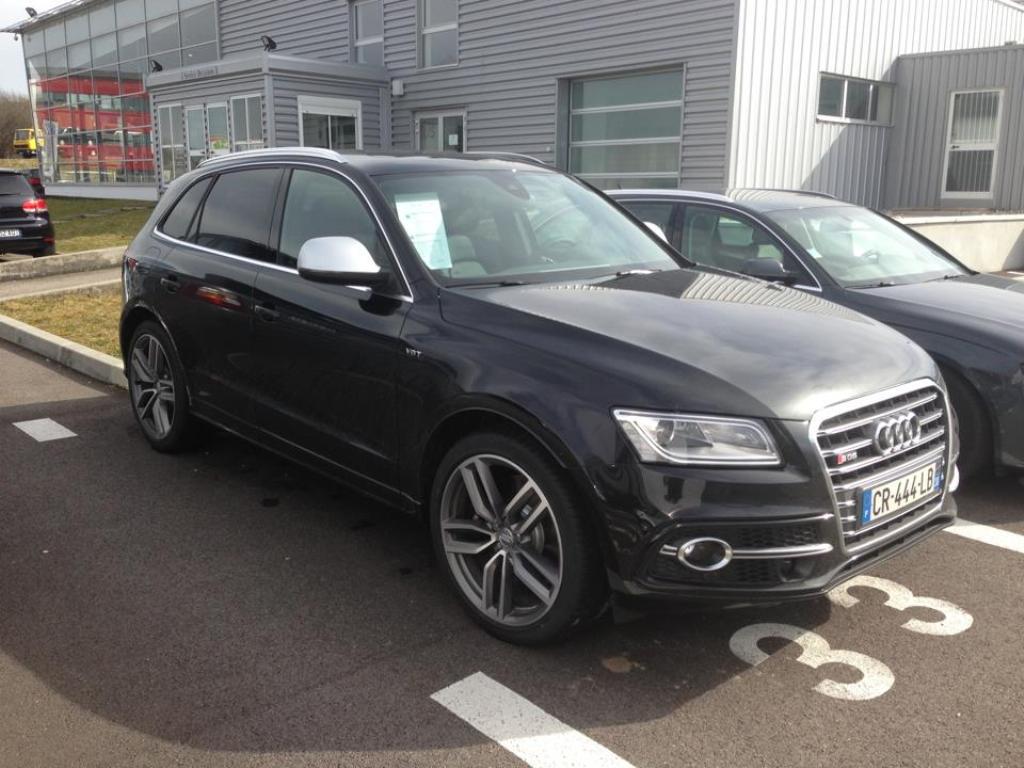 516608AUDISQ5163.jpg