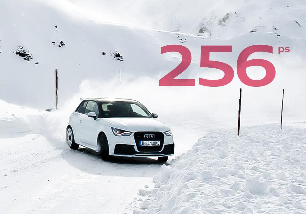 517187A1QUATTRO250.jpg