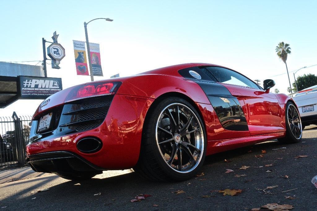 5179101860AUDIR8V10.jpg