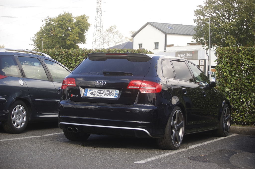 5179731869RS3.jpg
