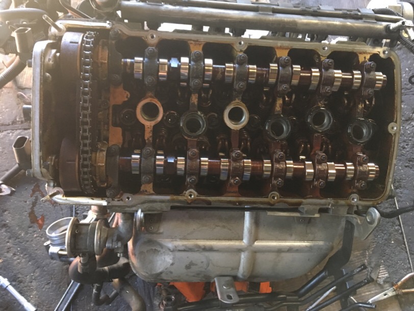 IMG_0116.JPG.83fbdc150d6204ddd6fa5f49351