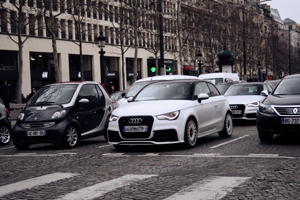 519131A1QUATTRO555.jpg