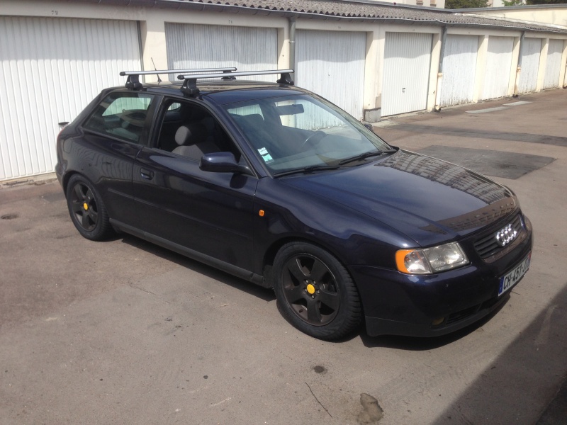519512IMG2203.jpg
