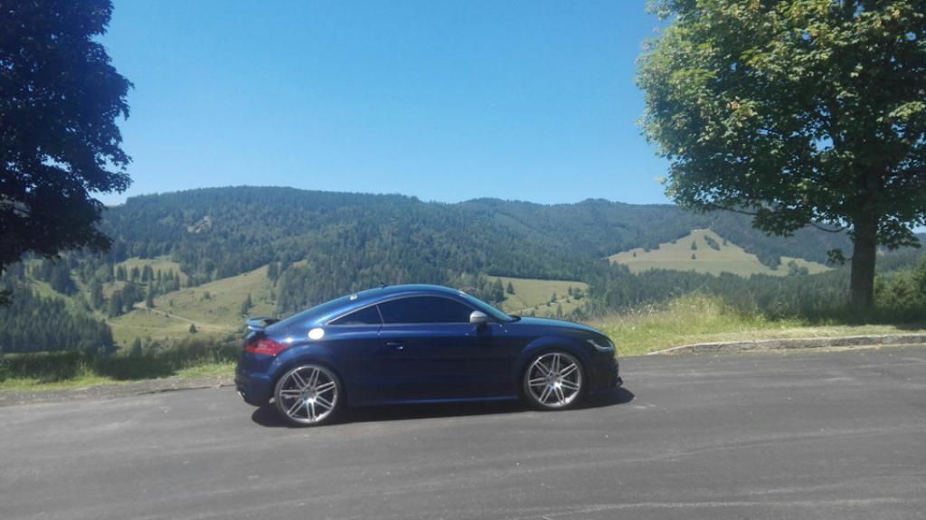 520581AUDITTRS2467.jpg
