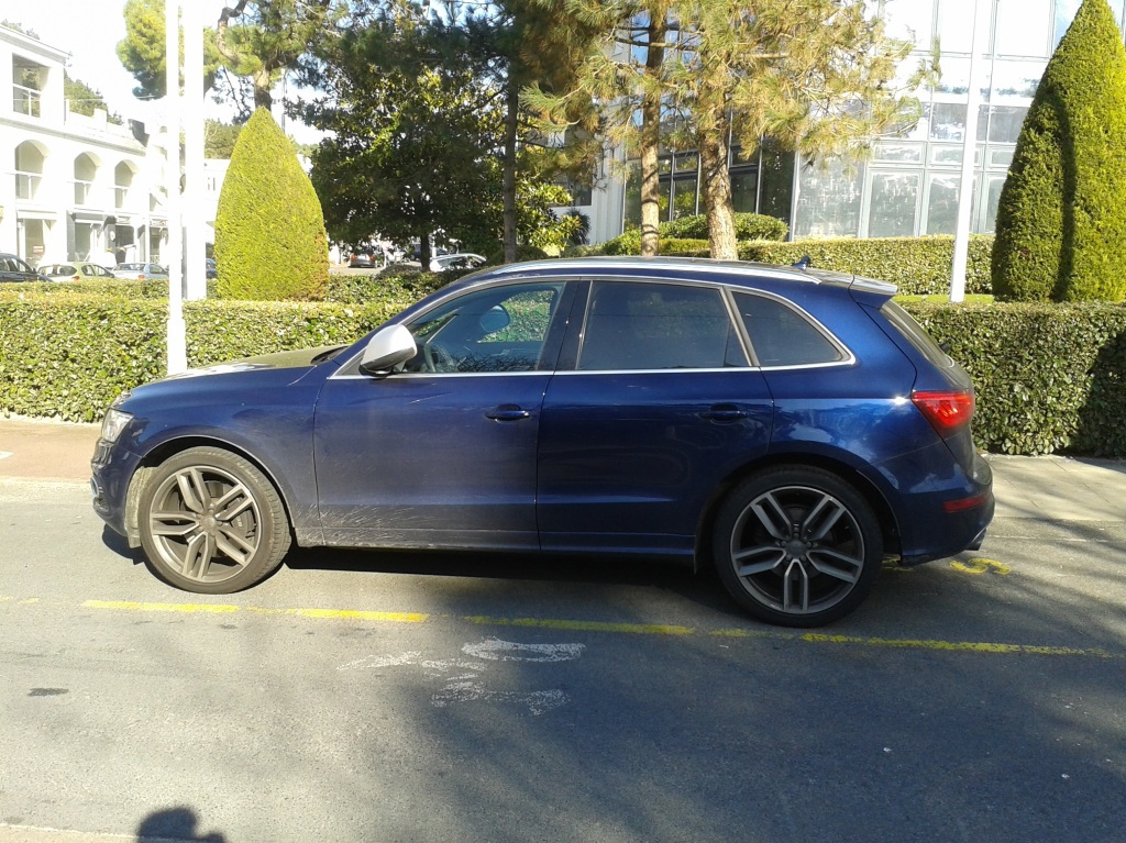 522398AUDISQ51034.jpg