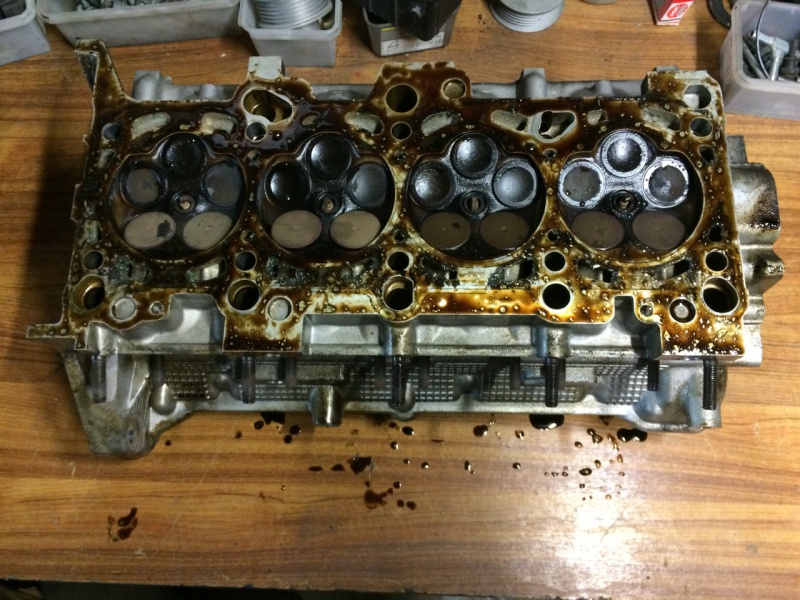522541IMG9082.jpg