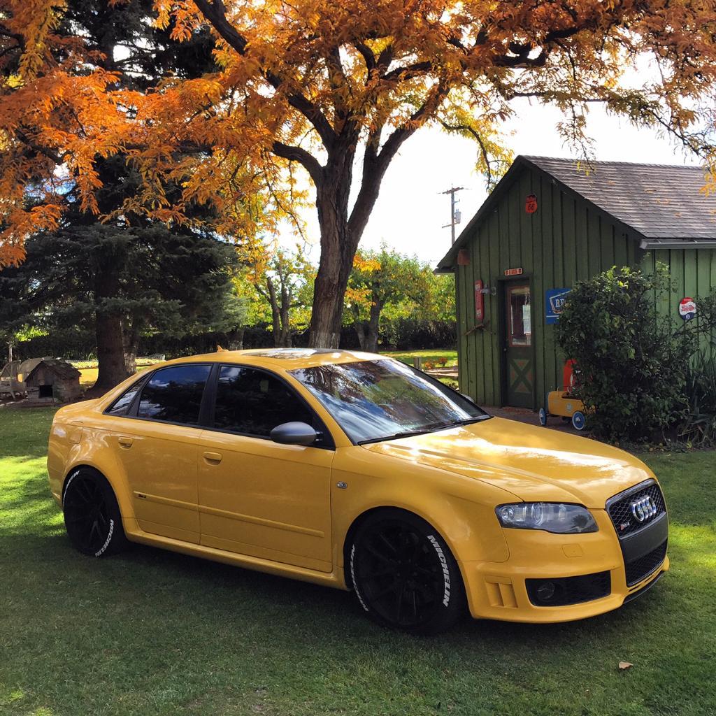 522665AUDIRS41565.jpg