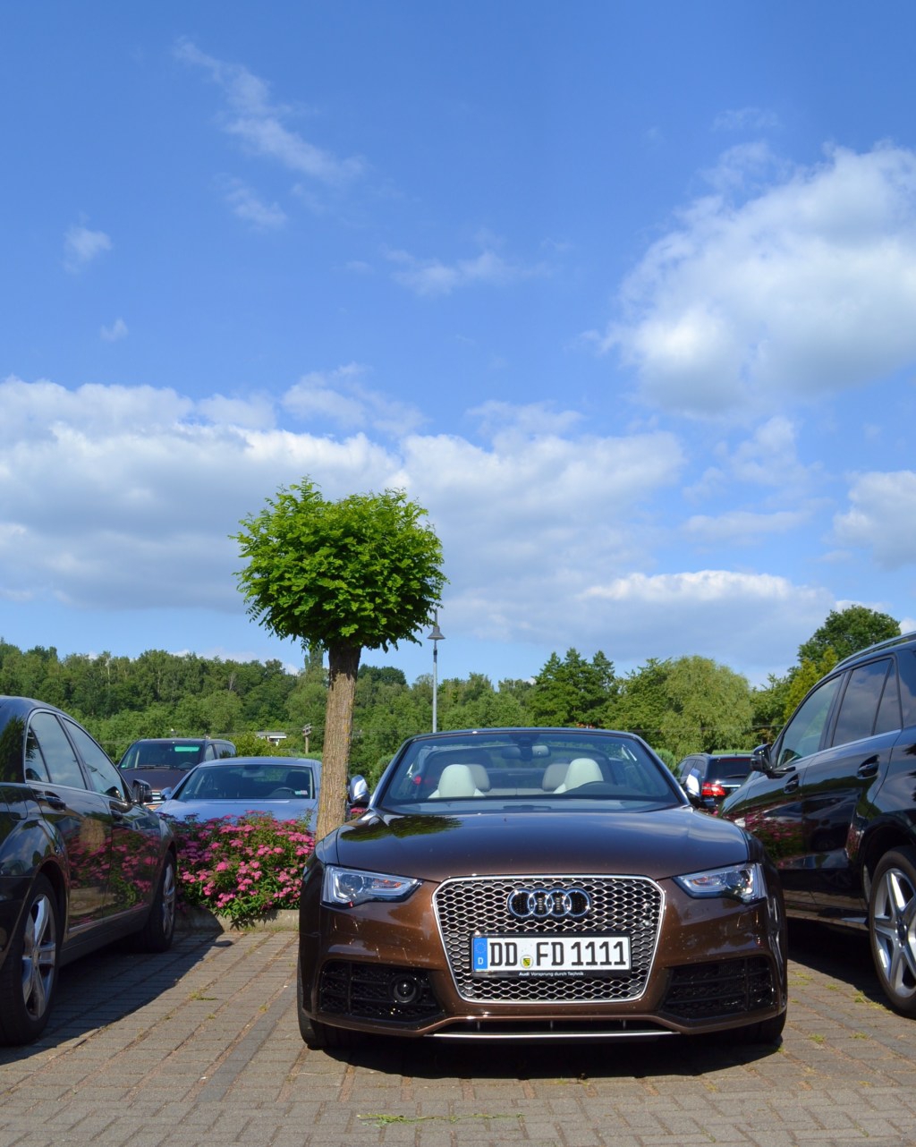 523234416RS5CABRIOLET.jpg