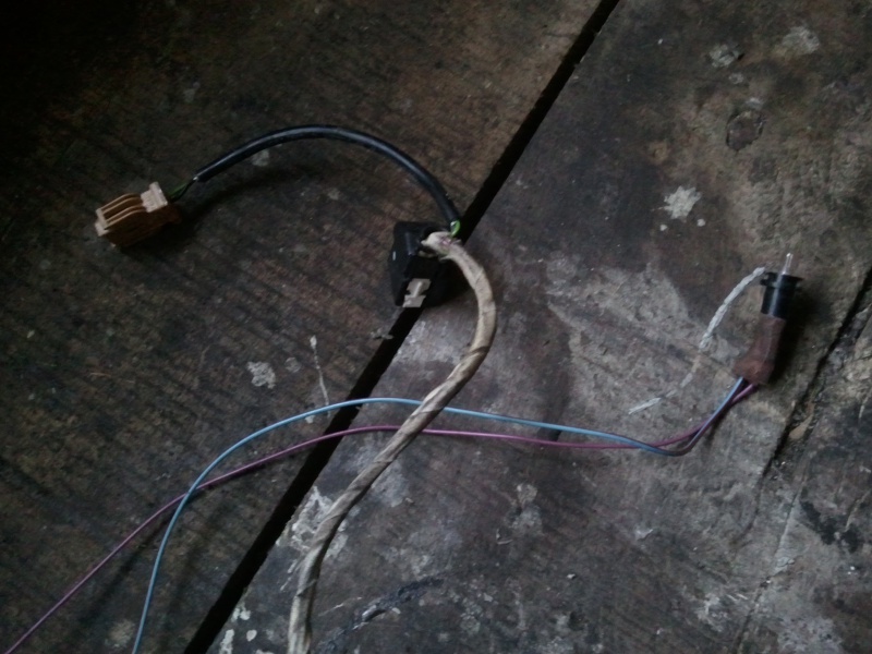 523440Photo3646.jpg