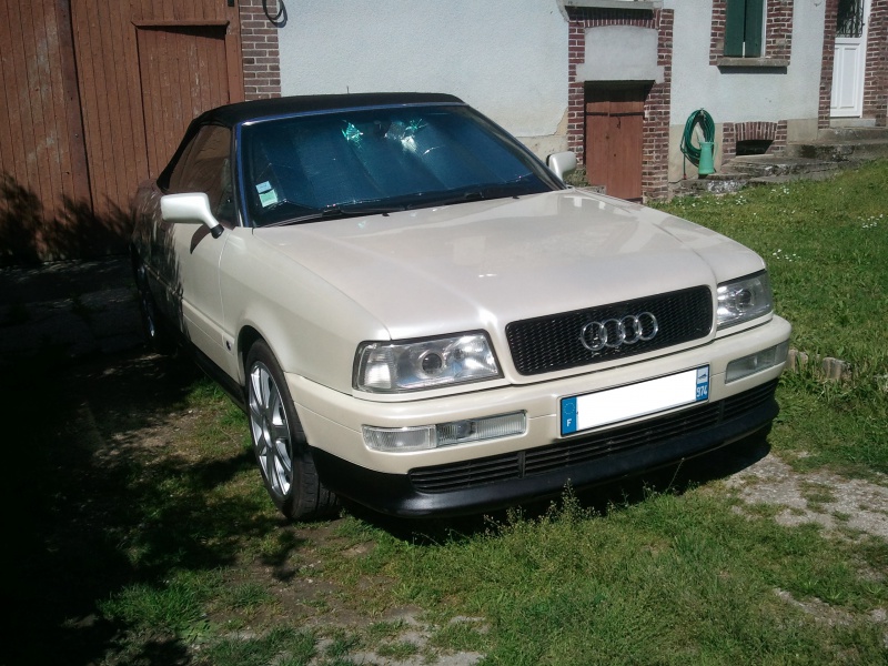 523941Photo8770a.jpg