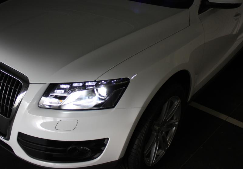 524702Q5tom.jpg