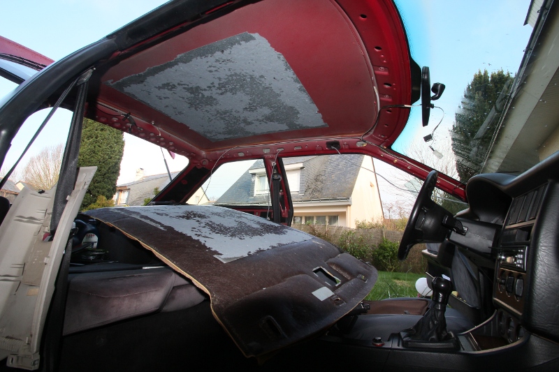 524909IMG5455.jpg
