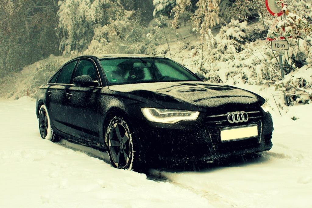 5257221134NEIGE.jpg