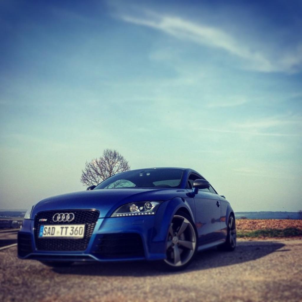 526209AUDITTRS1573.jpg