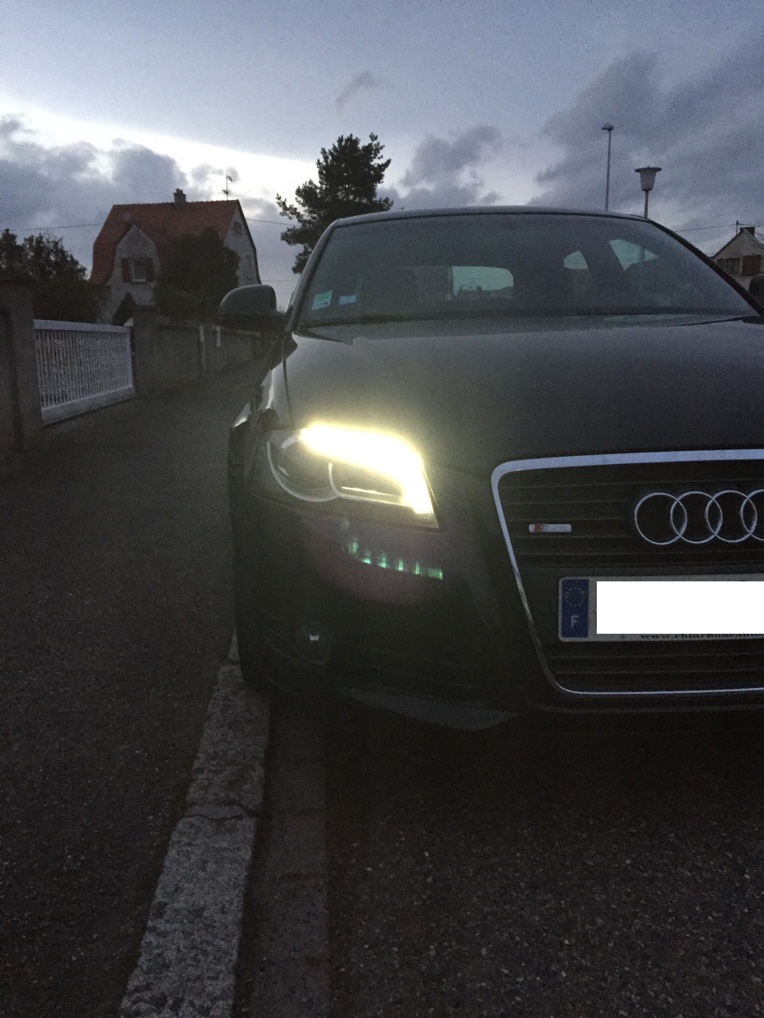 527126IMG1984.jpg