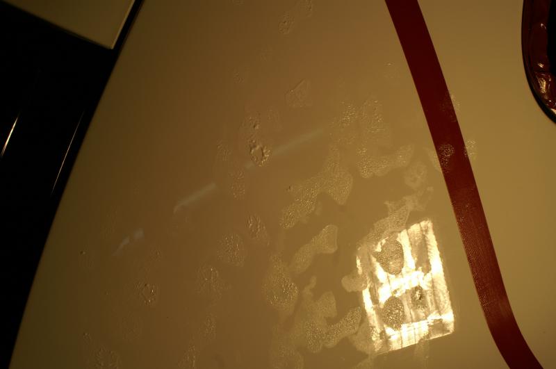528052PICT0014.jpg