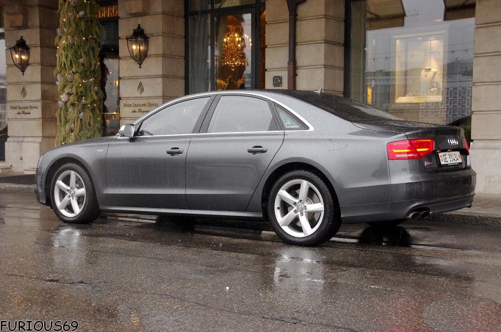 528606S8D4827.jpg