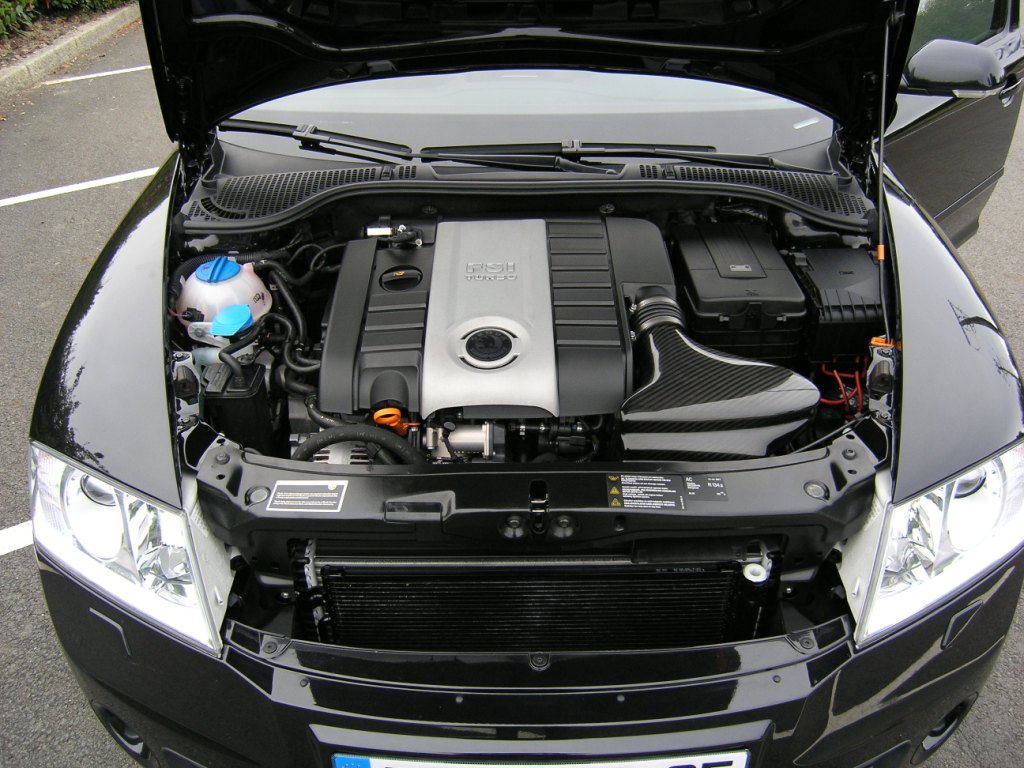 titine-1-an-16.JPG