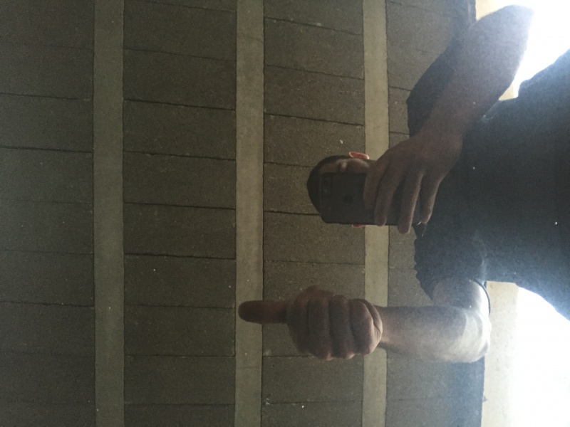 530168IMG0657.jpg