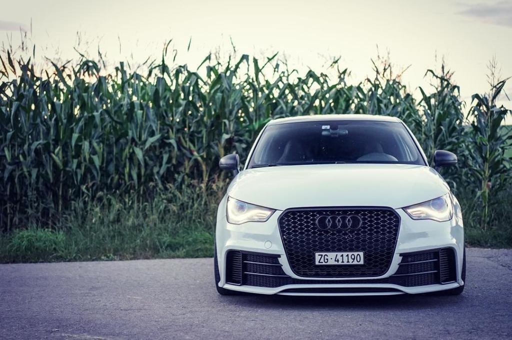 531390A1QUATTRO1077.jpg