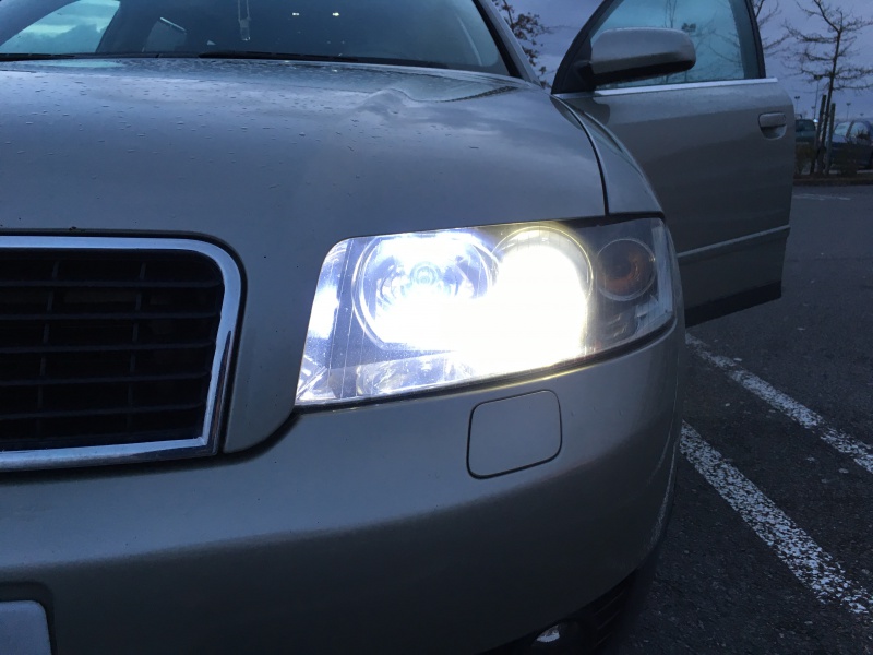 531419IMG9181.jpg