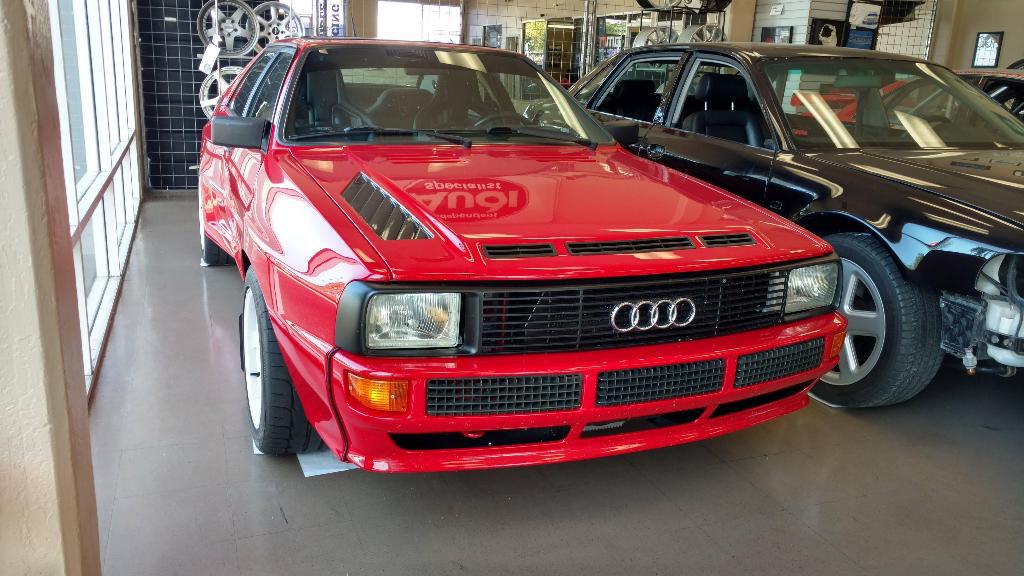 531635URQUATTRO2303.jpg