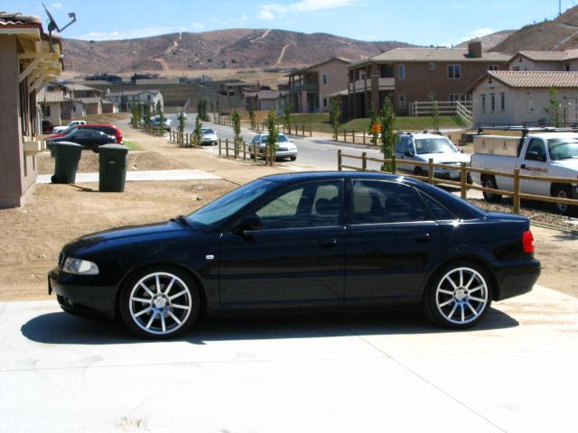 533640IMG0189vi.jpg