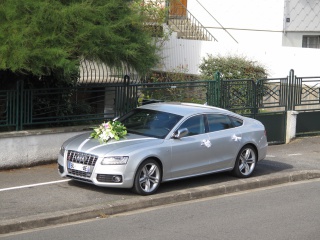 534295IMG7372copie.jpg
