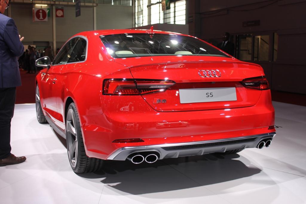 534401S5B90182.jpg