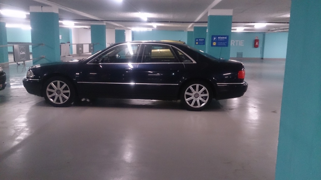 534886DSC0559.jpg
