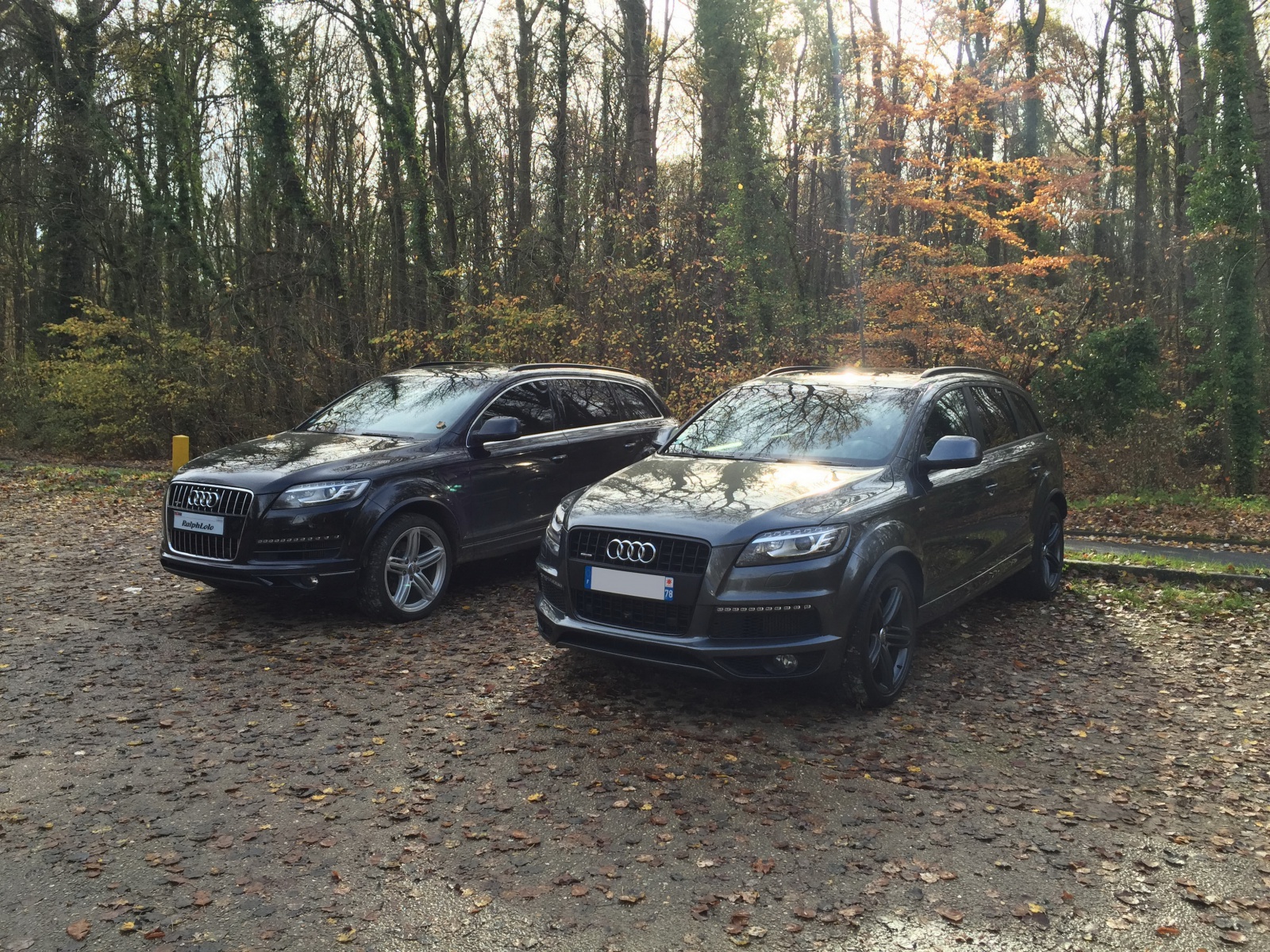 53500820151108RassemblementAudi03.jpg