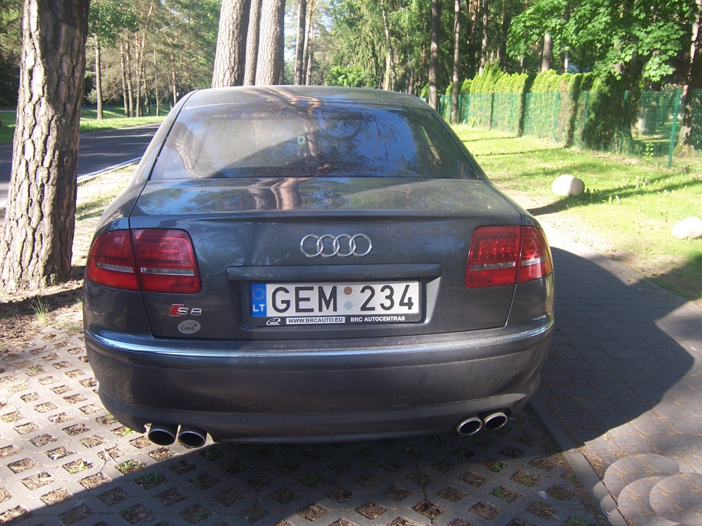 5350341437S8D3.jpg