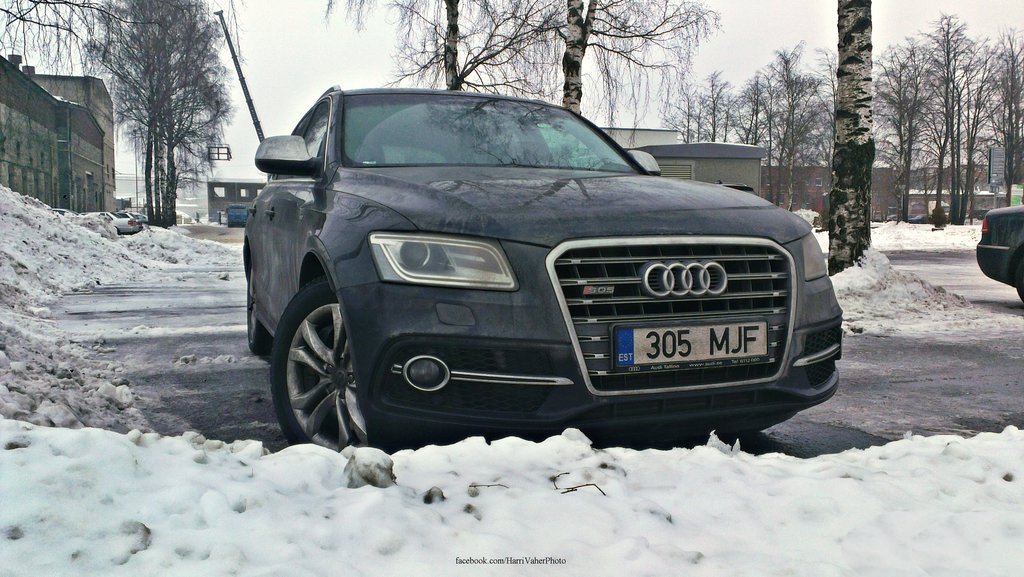 536076AUDISQ5950.jpg
