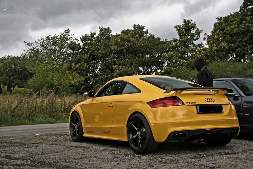 536603AUDITTRS376.jpg