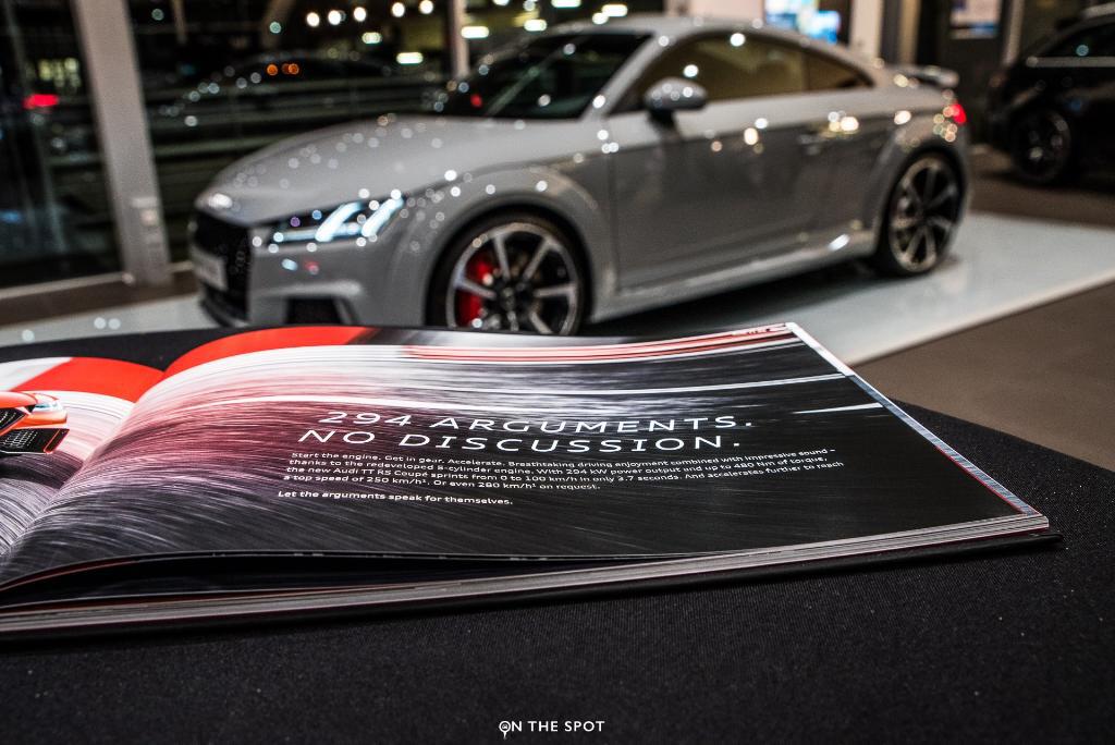 537560AUDITTRS8S0384.jpg