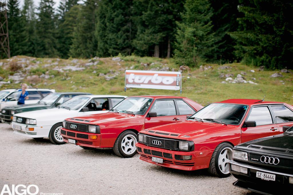 537582URQUATTRO2010.jpg