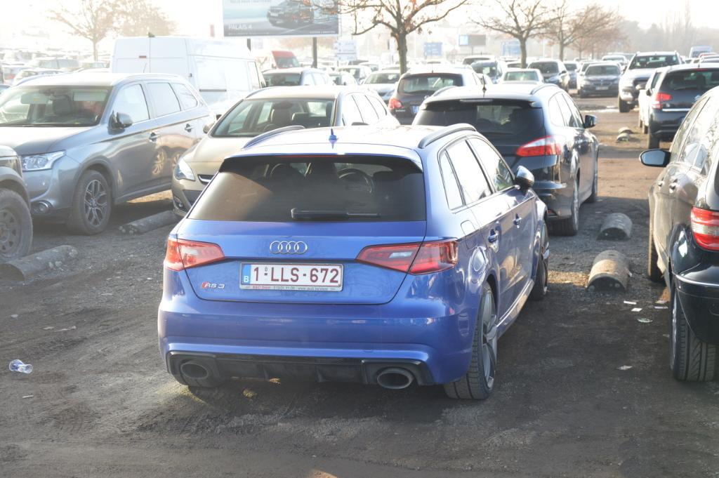 537929RS38V1959.jpg